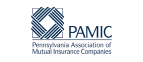 PAMIC-1