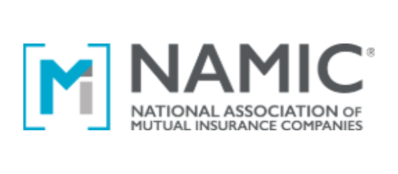 NAMIC