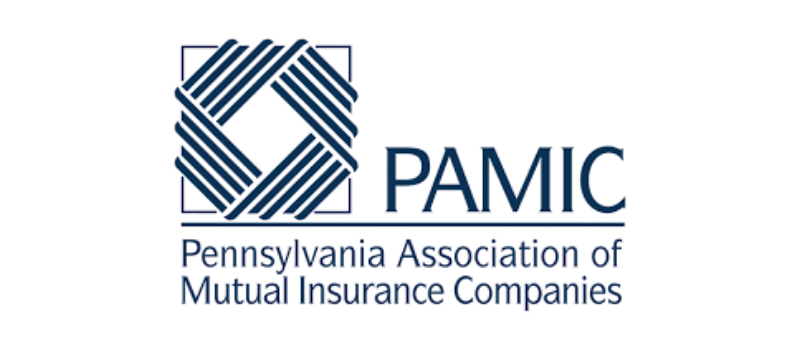 PAMIC-1